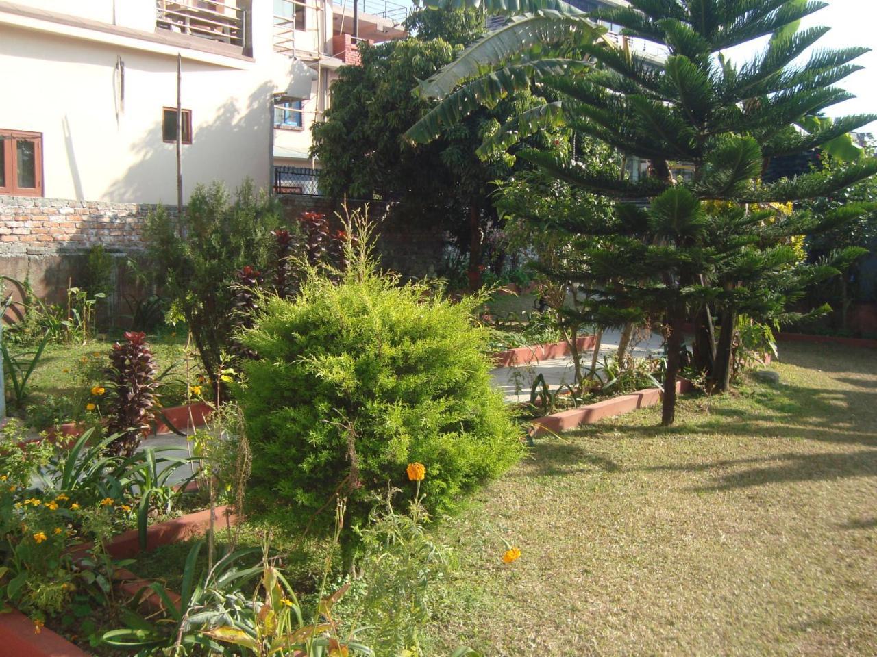 Geo Guest House بوكْرا المظهر الخارجي الصورة